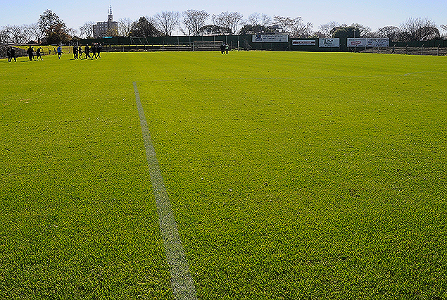 Cancha resembrada y en perfectas condiciones. 