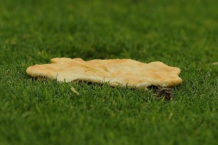 La bronca da para todo, hasta para tirar una torta frita a la cancha.